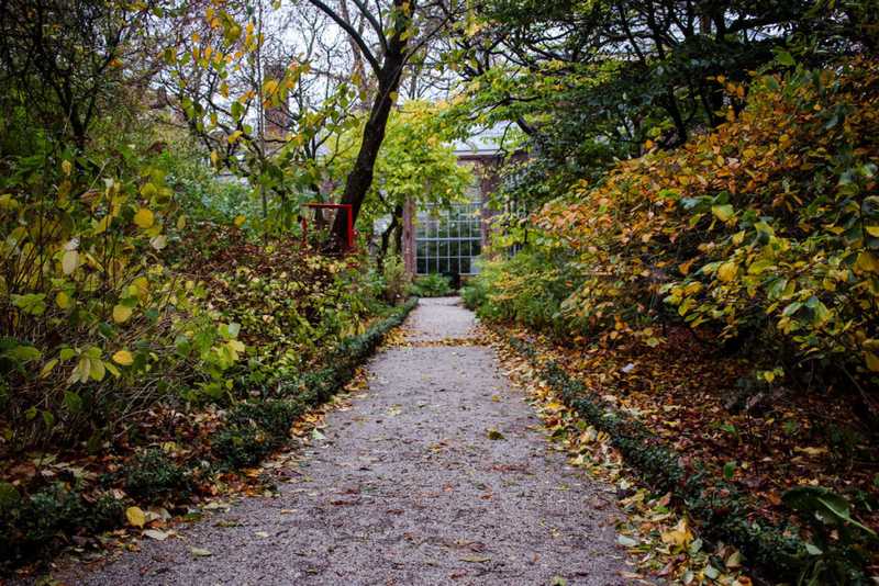 amsterdam botanical path 1024x683