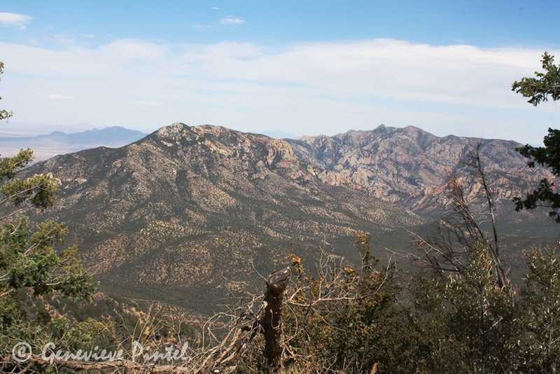 Image of distance mountains with brush in foreground