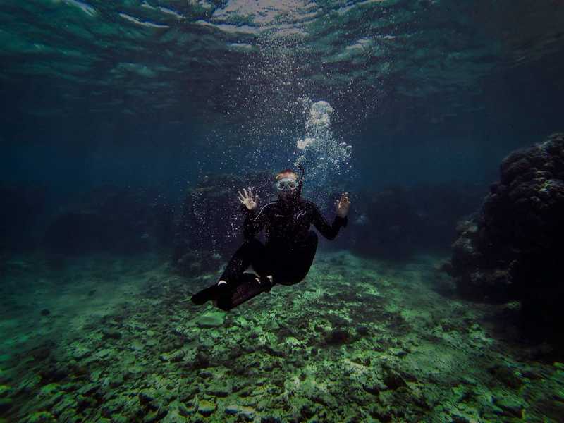 Anne Dorko scuba diving in the Great Barrier Reef