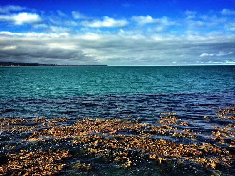 Open water at Oamaru, New Zealand